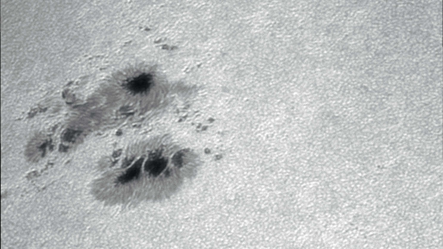 Sunspots in white light. The picture clearly shows the different structures of the individual spots. Photographed with an uncooled CCD camera on a telescope with 130 mm aperture and a focal length of 3,250 mm. 500 images from a 2,500-image capture sequence were used for this composite picture. U. Dittler