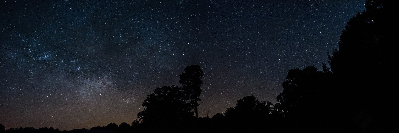 Sternenhimmel Wald Stromleitung Dunkel